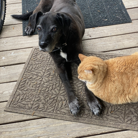 May 16. BFFs Buddy & Tom.