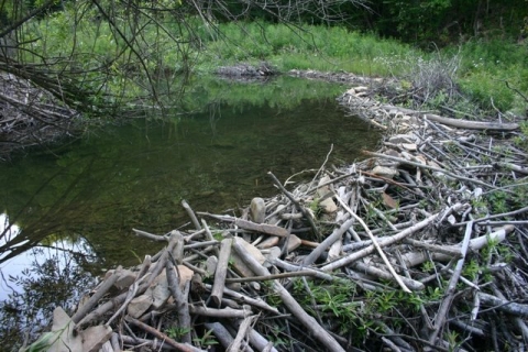 Dam renovations