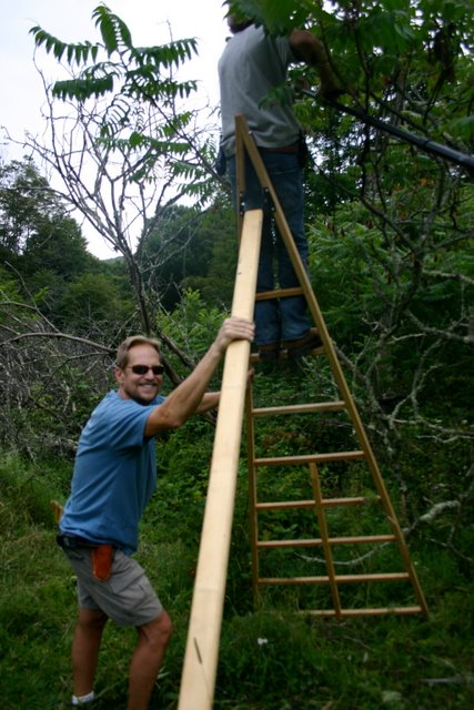 Harvesting in the Sumac Sanctuary