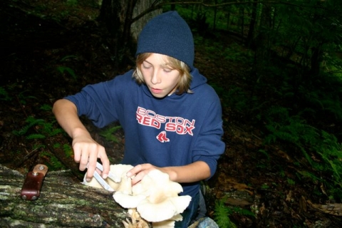 Jake harvests oyster mushrooms on a cool July day