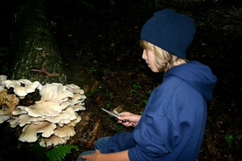 Jake considering where to begin