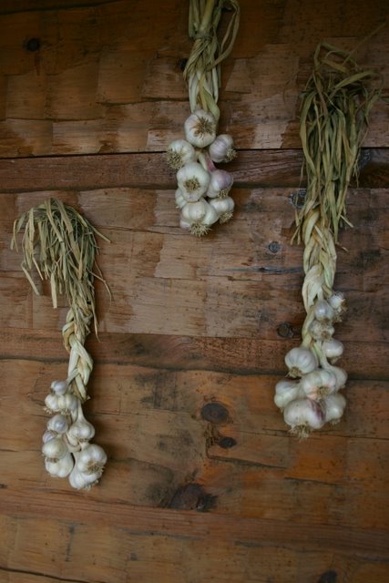 Softneck braids