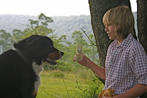 Jake & Cosmo