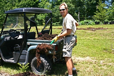More mulching!