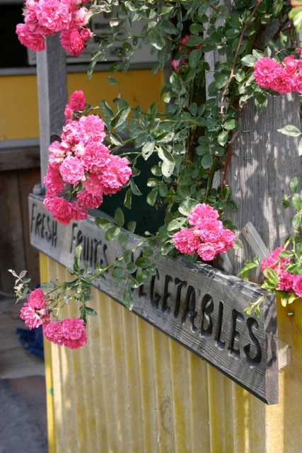 Summer colors in Bartow