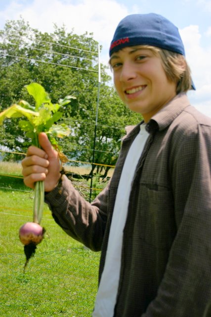 Turnip