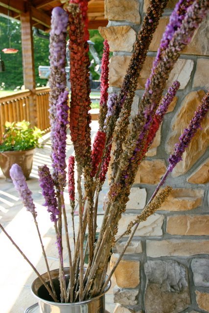 Dried mullein covered in wax makes a great torch