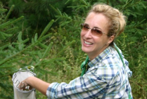 Apple picking, August 22