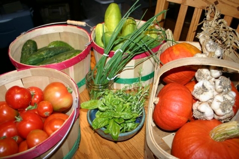 Market day