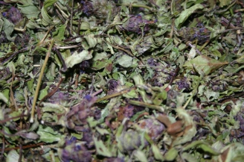 Dried Heal All.