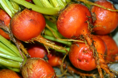 Golden beets.