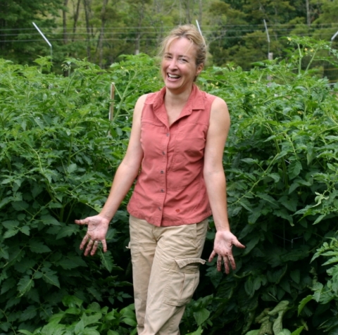 Can you believe these tomato plants?