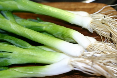 Scallions July 31.