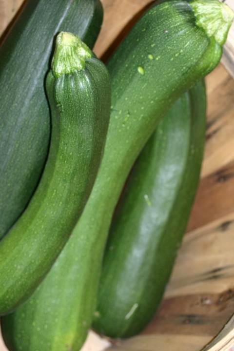 Zucchini.