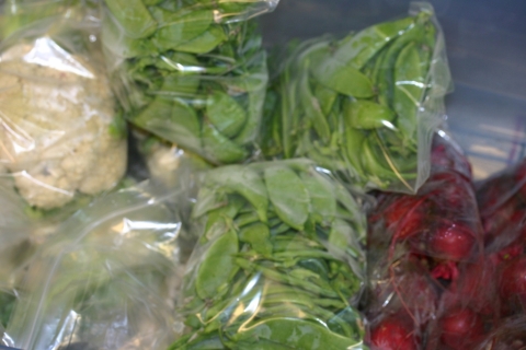 August 2 cauliflower, snow peas, and beets packaged for delivery.