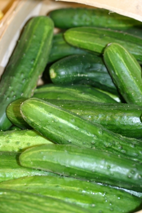 Cucumbers are bountiful.