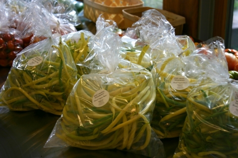 August 29. CSA & restaurant orders.