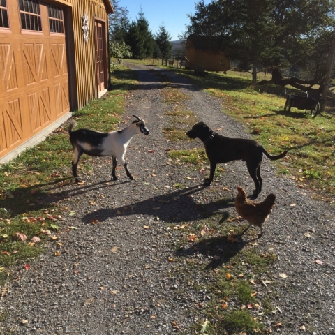 Avil and Buddy