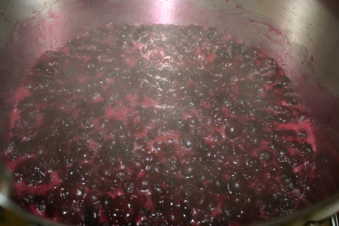 August 30 Blueberry Preserves