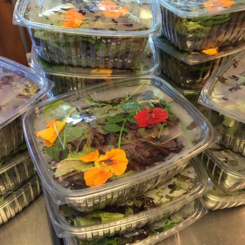 June 29 Mesclun Greens
