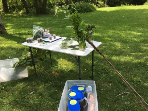 June 20 Herb Talk at Ambassadors for Christ Summer Camp
