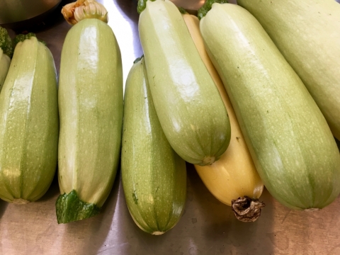 July 12 Squash
