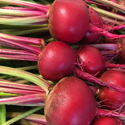July 26 Chioggia Beets