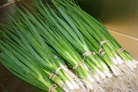 July 18 Scallions