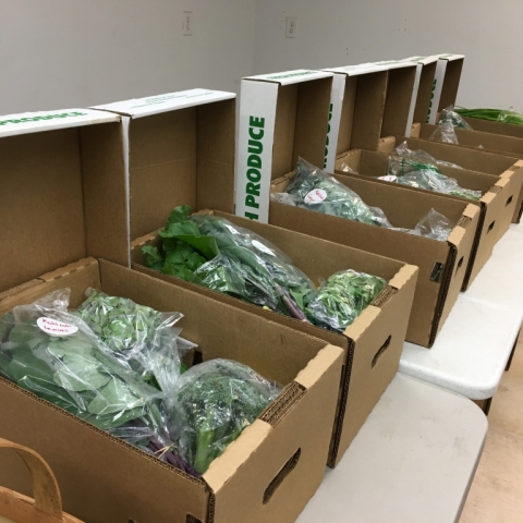 Produce on the Move! CSA boxes.
