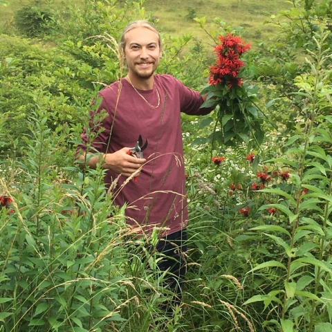 Jake cutting Bee Balm near Camp Allegheny.