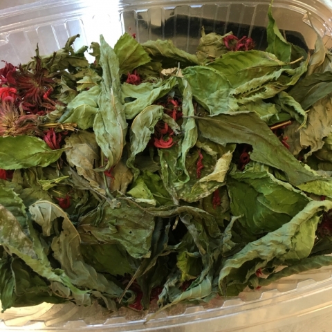 Dried Bee Balm.