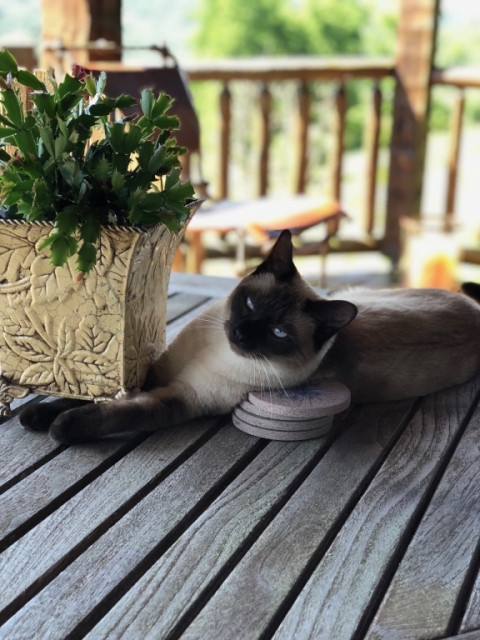 Leia.