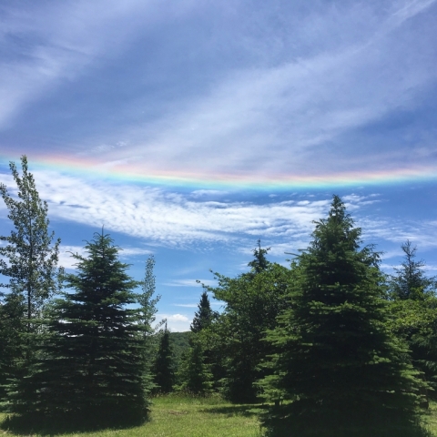 A "Fire Rainbow" or circumhorizontal arc June 12.