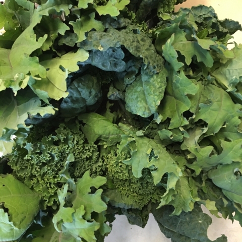 Kale.