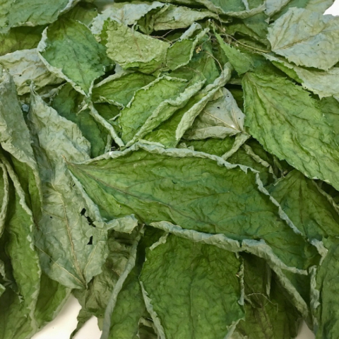 Dried Stinging Nettles.