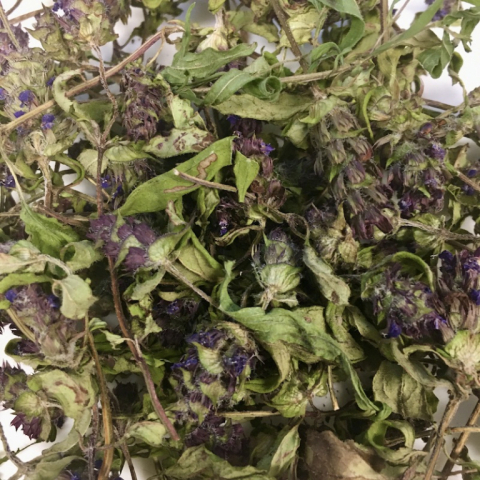 Dried Heal All.
