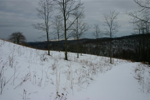 Spring road