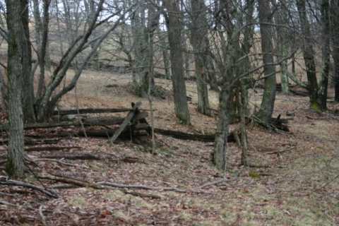 Old fence below the Spring Road