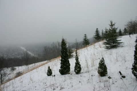 Snow! March 27