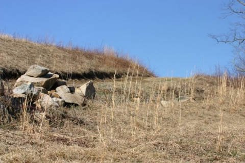 A blue-sky afternoon, March 28