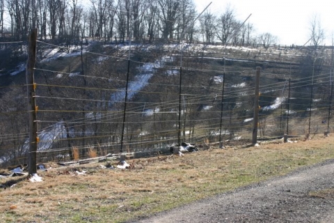 Garden enclosure
