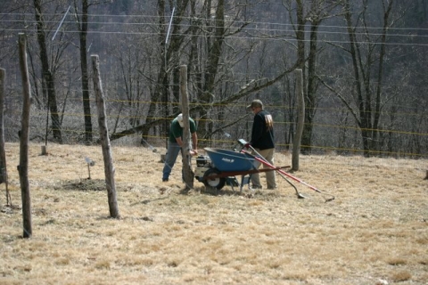 Curtis and Ernie hard at work cutting sod