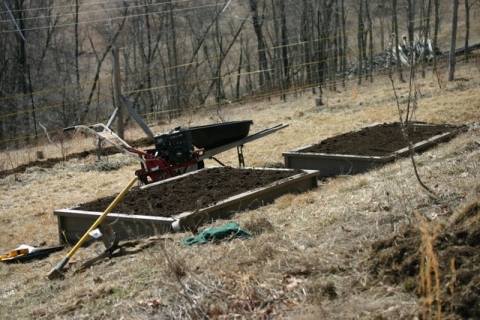 New raised beds