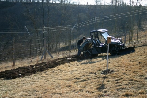 Jake mulching the blueberries