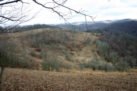View of Brightside from the Old Pike Road. Spring house is lower right. Garden & vineyard enclosure is upper left, along ridge. House is further out the ridge, beyond view.