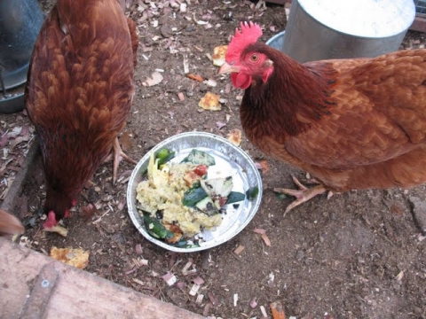 Cucumbers, carrots, potatoes. Oh my!