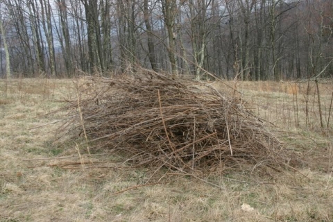 Removed canes.