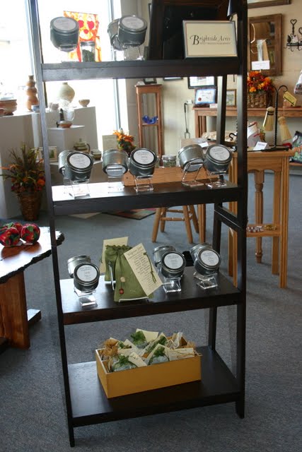 March 22, new display at 4th Avenue Gallery in Marlinton.