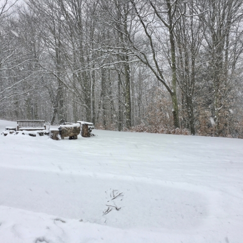 February 17