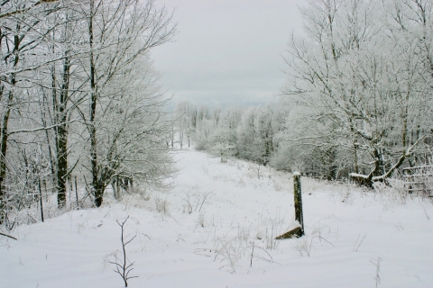 January 14.